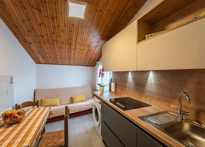 In With Kitchen Lejlighed Medulin