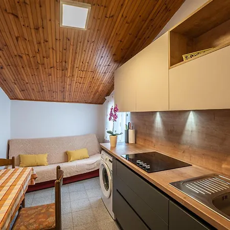 In With Kitchen Apartment Medulin